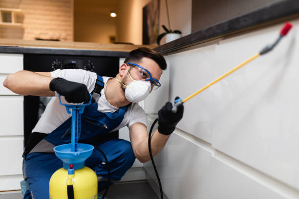 Best Pest Control Near Me in Decatur, AL