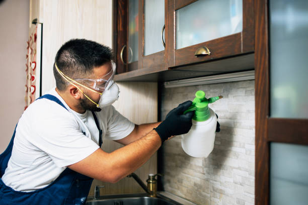 Best Affordable Pest Control Services  in Decatur, AL