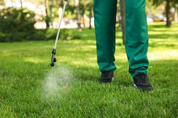 Best Wasp Removal Services  in Decatur, AL