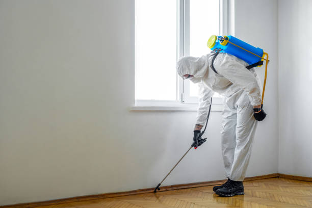 Best Insect Control  in Decatur, AL