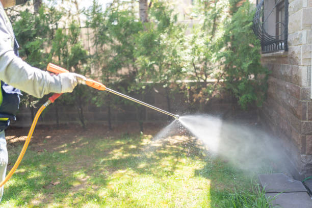 Best Local Pest Control Services  in Decatur, AL