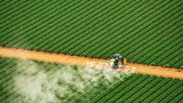 Best Pest Inspection Near Me  in Decatur, AL