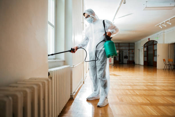 Best Cockroach Control Services  in Decatur, AL